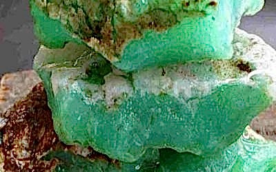Krizopras (Chrysoprase)